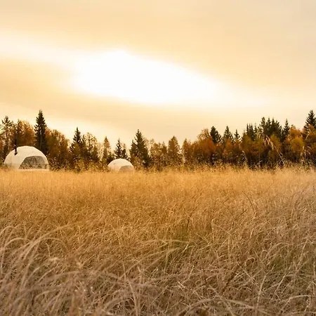 Dome